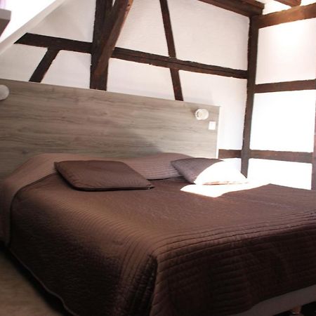 Appartement Les Violettes Colmar Bagian luar foto