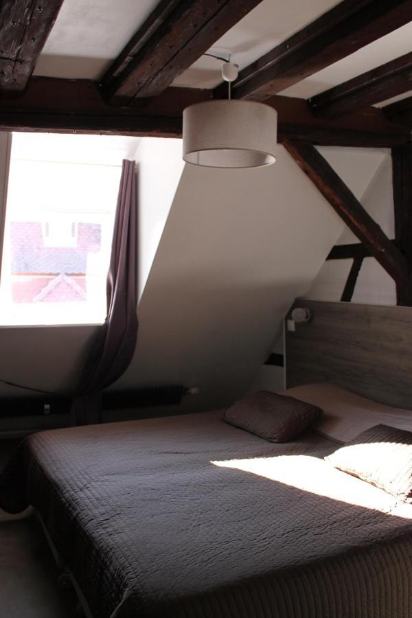 Appartement Les Violettes Colmar Bagian luar foto