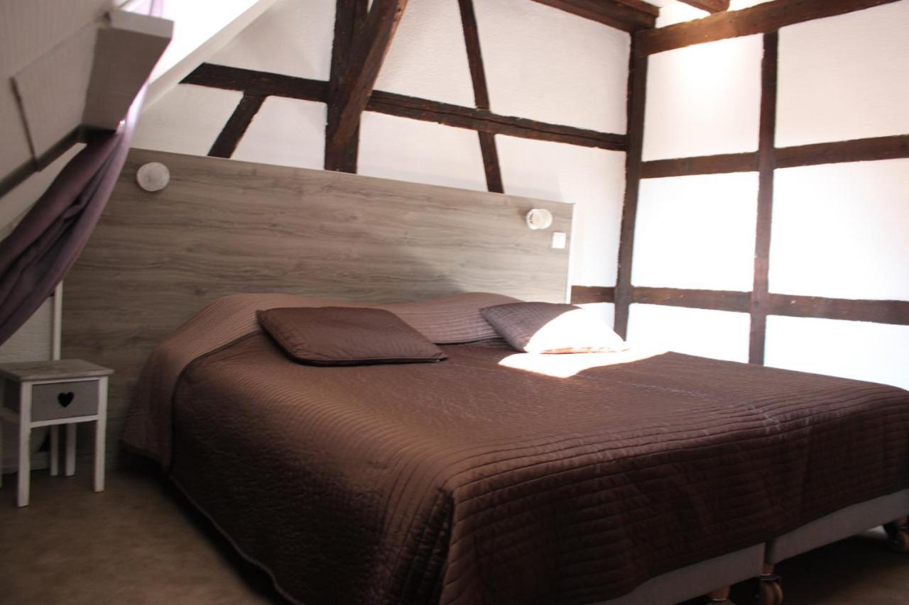 Appartement Les Violettes Colmar Bagian luar foto