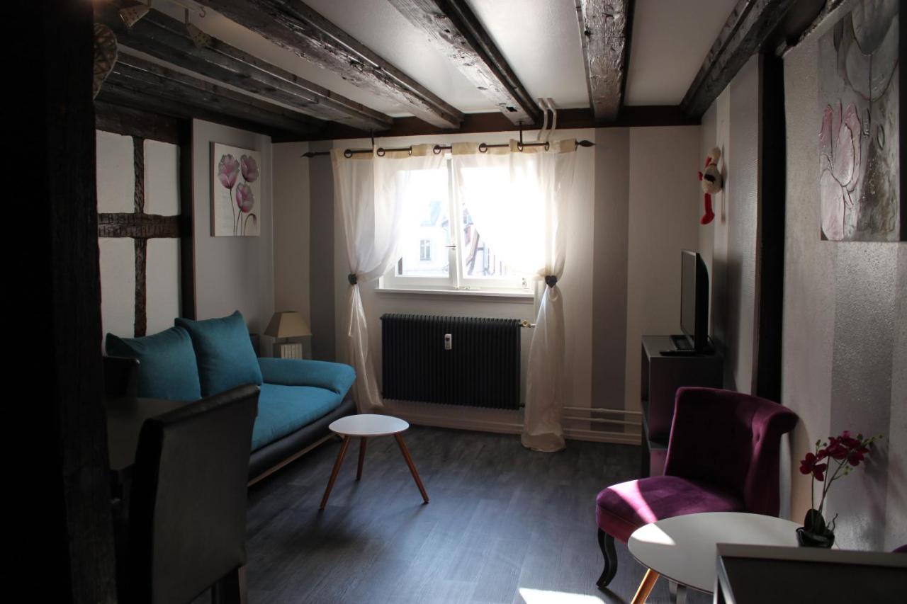 Appartement Les Violettes Colmar Bagian luar foto