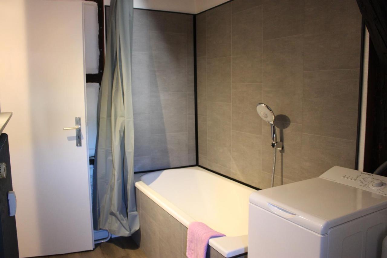 Appartement Les Violettes Colmar Bagian luar foto