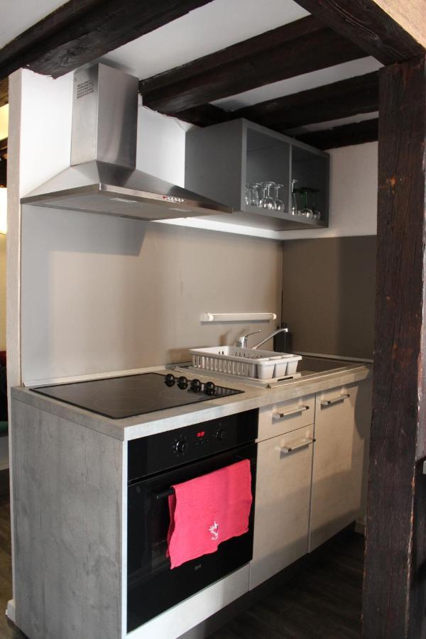 Appartement Les Violettes Colmar Bagian luar foto