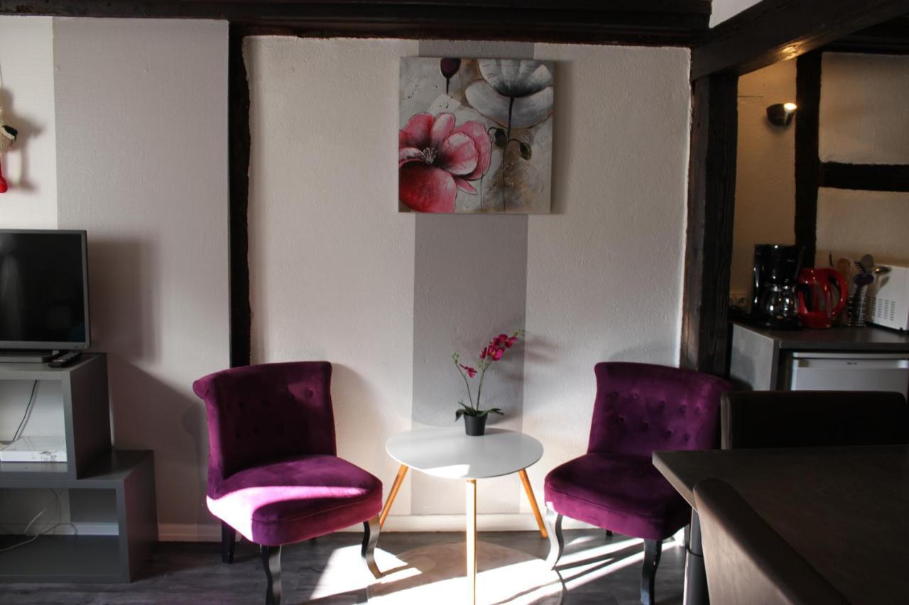 Appartement Les Violettes Colmar Bagian luar foto